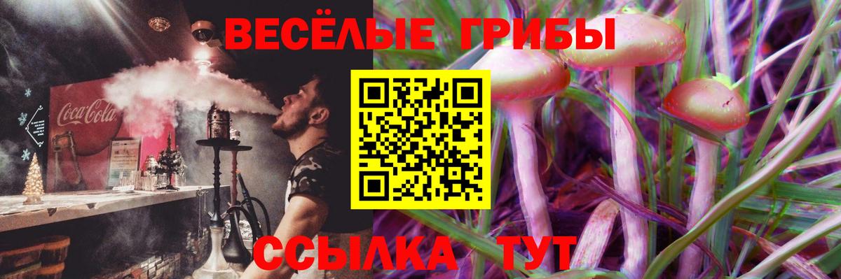 Псилоцибиновые грибы ЛСД Краснодар